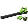 Greenworks G40ABK2 Souffleur à Batterie Axial de Feuilles Mortes Sans Fil, avec Régulateur de Vitesse, 177 km/h, 11,05 m³/min, Batterie 40V 2Ah et Chargeur, Garantie 3 Ans