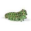 PAPO - Statuetta Bruco Realistica - 3 Anni + - Collezione Animali del Giardino - Gioco Educativo Insetti - Idea Regalo Giocattolo Bambina Bambino