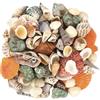 Conchiglie Miste 500G Naturali Conchiglia Mare 2-8 Cm Conchiglie Miste Oceanici