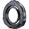 Godox Adattatore di montaggio Bowens per ML60IIBI/ML100IIBI "