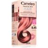 Delia Cosmetics Cameleo Taste My Hair 1 pz