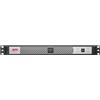 APC Gruppo di continuità SMART-UPS C LI-ION 500VA 4 prese AC Grigio