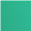 Cartoncino Sage con texture 216 gr