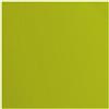 Cartoncino Fern con texture 216 gr