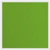 Cartoncino Frog con texture 216 gr