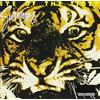 Import Tool Eye Of The Tiger