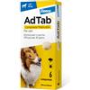 AdTab Compresse Masticabili Cane 22-45kg 900 MG 6 COMPRESSE