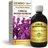 DR.GIORGINI SER-VIS Srl G10+ Albero Di Giuda Dr. Giorgini 500ml