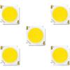 SPOUPKFKCK 5 pz Bridgelux Circuito Integrato del LED 10 W 20 30 40 50 Diodi CRI90 COB Luce di Proiezione Sour Fit for Il Riflettore Downlightce Accessori FAI DA TE(Natural White 4000K,10W 300mA)