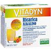 VITADYN Phytogarda Vitadyn Ricarica Alkalino 14 Bustine Tonificanti