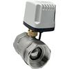 SHYISY Valvole a sfera elettriche 1/2 3/4 1 2 Valvola a sfera motorizzata Acciaio inossidabile DN15 DN20 DN25 DN50 IP65 Valvole a sfera elettriche impermeabili AC/DC 220V 24V 12V ( Size : 1-1/2 , Color