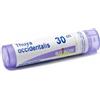 Boiron Thuya Occidentalis 30CH Granuli Multidose - BOIRON - 800025431