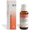 DR.RECKEWEG RECKEWEG R11 GOCCE 22ML - DR.RECKEWEG - 909462259