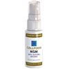 CELLFOOD MSM SPRAY 30ML - - 900067517