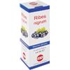 KOS SRL Ribes Nigrum Macerato Glicerico Gocce 100ml - - 904559503