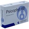 BIOGROUP PSICOPHYT REMEDY 6B 4TUB 1,2G - BIOGROUP - 904736802