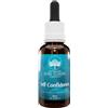 SELF CONFIDENCE ESS AUSTR 30ML - - 900351471