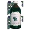 ARCANGEA MIRTILLO SUCCO 200ML - ARCANGEA - 906584634