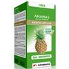 ARKOFARM ARKOCPS ANANAS GAMBO 45CPS - ARKOFARM - 908051737