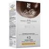 Bionike Shine On 4.3 Castano Dorato Trattamento Colorante Capelli - BIONIKE - 922961040