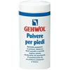 Gehwol Polvere Piedi Deodorante E Assorbente 100 g - GEHWOL - 908620812