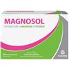 Magnosol 20 Buste Effervescenti - MAGNOSOL - 909451546