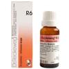 DR.RECKEWEG RECKEWEG R6 GOCCE 22ML - DR.RECKEWEG - 909462210