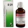 DR.RECKEWEG RECKEWEG R29 GOCCE 22ML - DR.RECKEWEG - 909462424