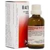 DR.RECKEWEG RECKEWEG R41 GOCCE 22ML - DR.RECKEWEG - 909462537