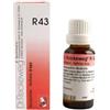 DR.RECKEWEG RECKEWEG R43 GOCCE 22ML - DR.RECKEWEG - 909462552