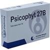 BIOGROUP PSICOPHYT REMEDY 27B 4TUB 1,2G - BIOGROUP - 903973509