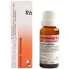 DR.RECKEWEG RECKEWEG R6 GOCCE 50ML - DR.RECKEWEG - 909462893