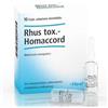 RHUS TOX HOMAC 10F 1,1ML HEEL - - 909469569