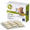CAMON DETOXIVET 60CPR - CAMON - 925464113