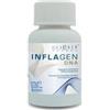 FORZA VITALE INFLAGEN DNA 60CPR 54G - FORZA VITALE - 931984367