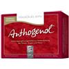 MASQUELIER'S ANTHOGENOL OPC MASQUELIER ANTHOGENOL90CPS - MASQUELIER'S ANTHOGENOL - 938559578