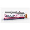 SHEDIR DOLVECIST PASTA SIRINGA 30G - SHEDIR - 944265053