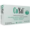 INTERFARMAC COYAL 30CPR GASTROPROTETTE - INTERFARMAC - 938772124