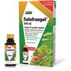 SALUS HAUS SALUFRANGOL 100ML - SALUS HAUS - 934487923