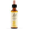 SCHWABE PHARMA ITALIA GORSE BACH ORIG 20ML - SCHWABE PHARMA ITALIA - 942859240