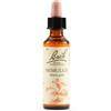 SCHWABE PHARMA ITALIA MIMULUS BACH ORIG 20ML - SCHWABE PHARMA ITALIA - 942859315