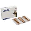 LYPEX 60CPS - - 976014504