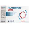 HERING PLANTAVEN EMO 14BUST - HERING - 981401742