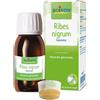 BOIRON Ribes Nigrum Macerato Glicerinato 60ml - BOIRON - 977632052