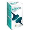 NERVIOCIT 10BUST - - 977793417