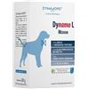 DYNAMOPET DITE SMALL 20BUST 2,5G - DYNAMOPET - 985773757