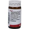 WALA ITALIA THYREOIDEA FERRUM 20G GL WALA - WALA ITALIA - 800599235