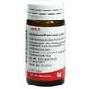 WALA ITALIA CICHORIUM PANCREAS 20G GL WALA - WALA ITALIA - 800601940