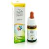 GUNA OLIVE GUN GTT 10ML - GUNA - 801605104