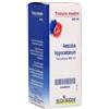 Boiron Aesculus Hippocast Tintura Madre 60ml - BOIRON - 909466082